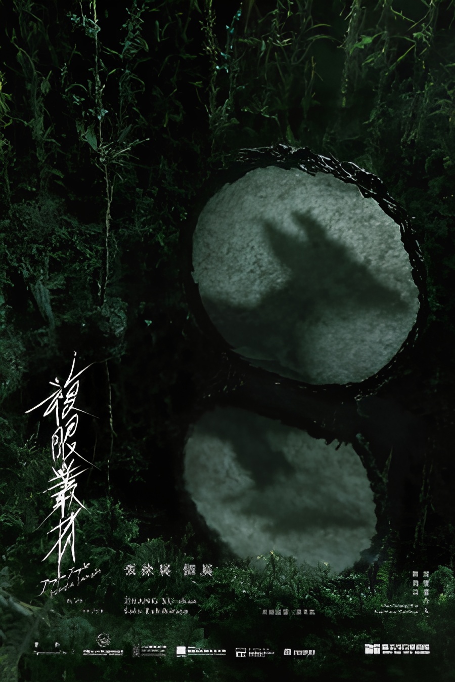 Compound Eyes of Tropical