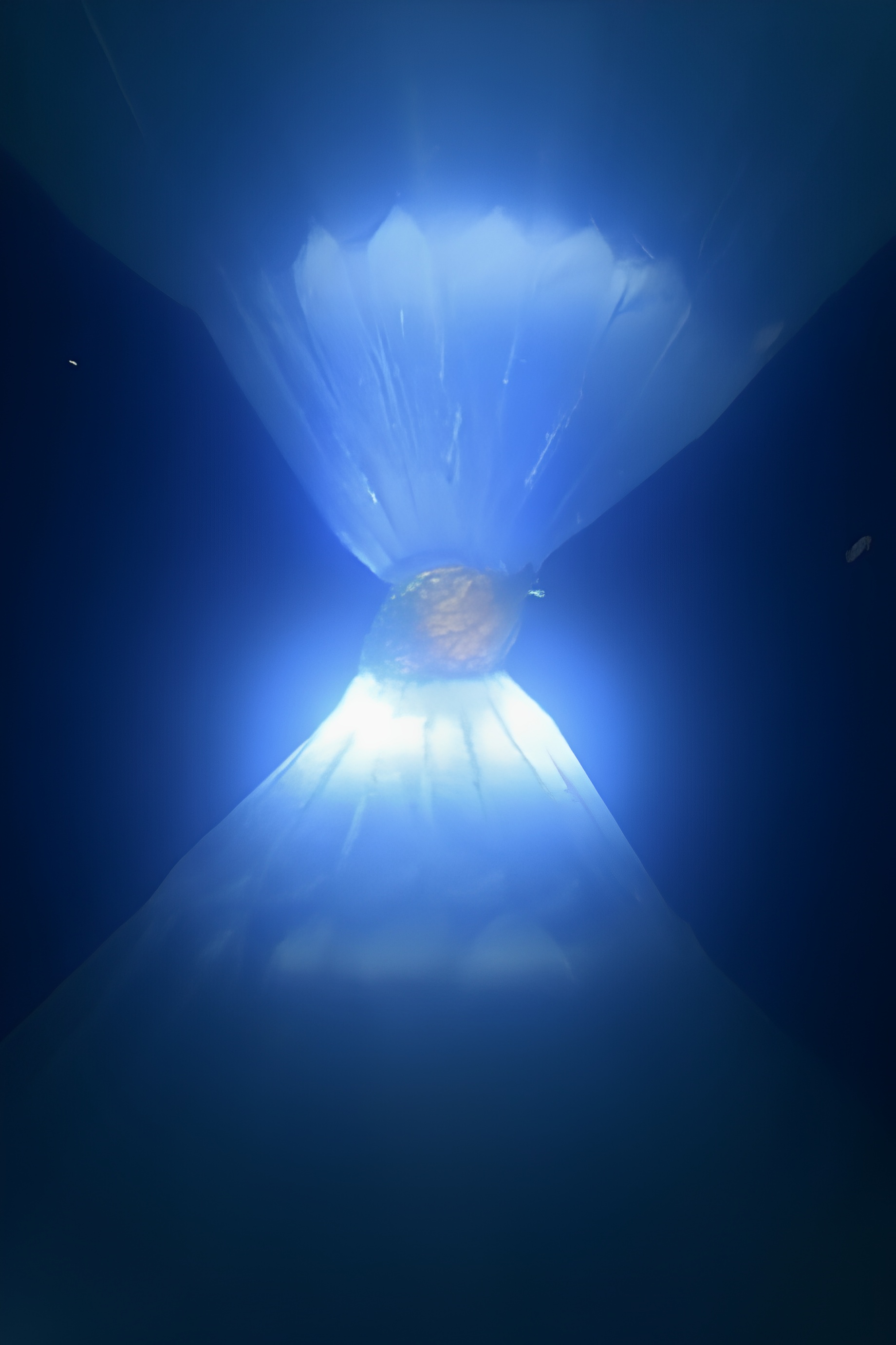 Luka and the Flower of the Sun