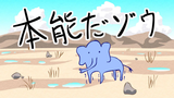 Passionate Elephant