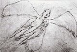 A Feather Stare at the Dark