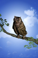 Horaiji San No Buppousou