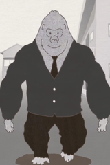 Evolution of humanity