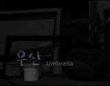 Umbrella