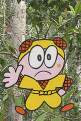 Konchuu Ninja