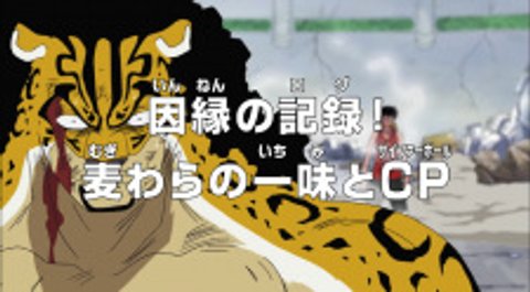 One Piece: The Log of the Rivalry! The Straw Hats vs. Cipher Pol