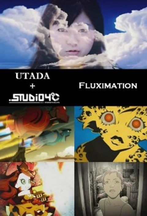 Fluximation