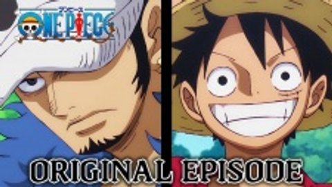 Luffy, Law