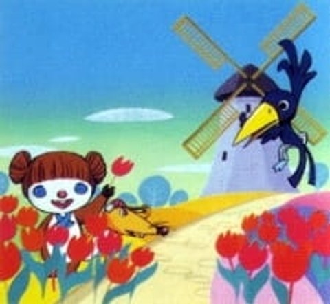 Coral Investigates