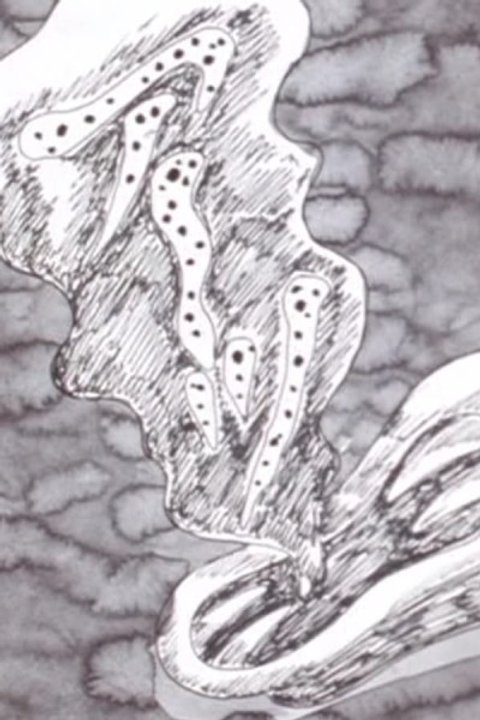Ten Nights' Dreams