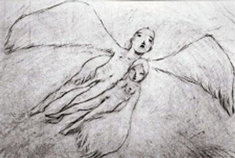 A Feather Stare at the Dark