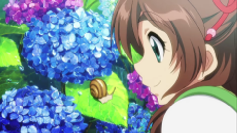 Hydrangea