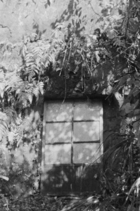 My Shelter