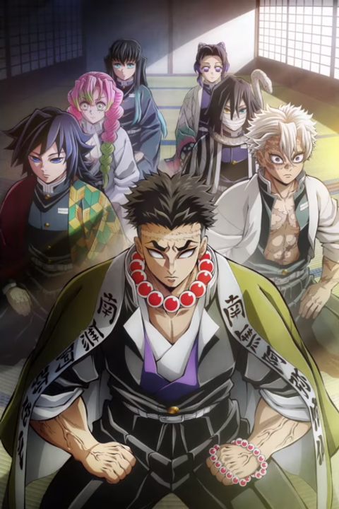Demon Slayer: Kimetsu no Yaiba Hashira Training Arc