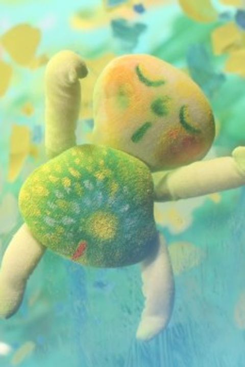 Cogito Wonderland