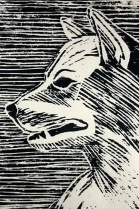 A DOG