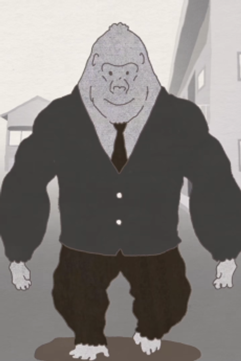 Evolution of humanity