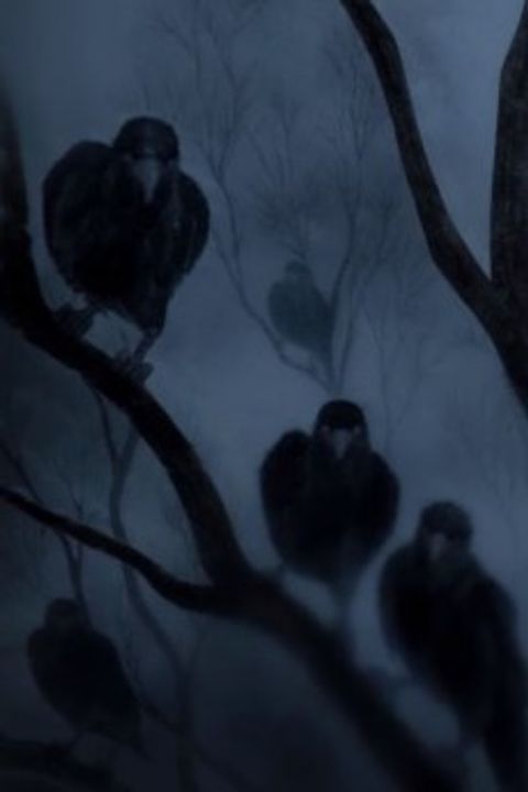 While the Crows Weeps