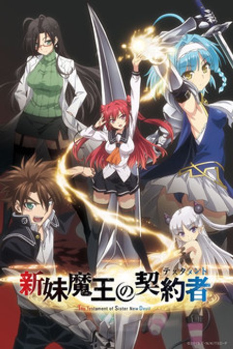 The Testament of Sister New Devil OVA