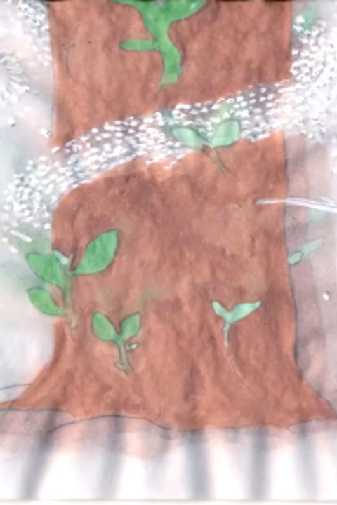 Timeless Tree