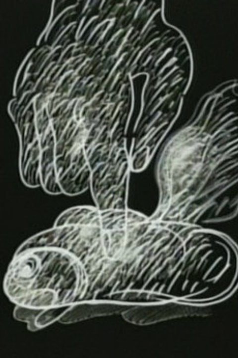 Goldfish Fetish
