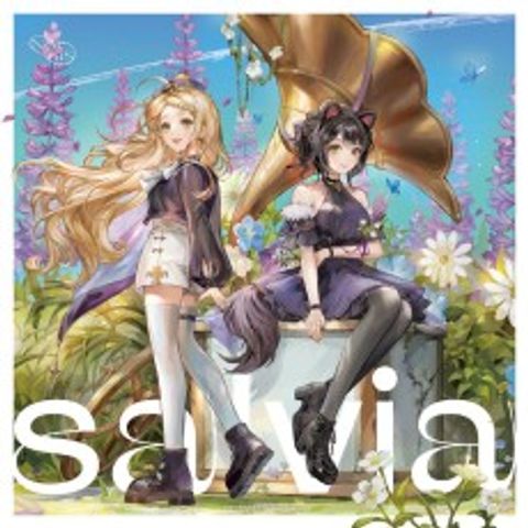 salvia