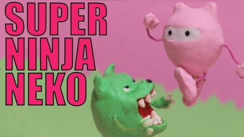 Super Ninja Neko