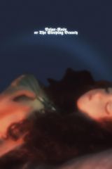 Briar-Rose or The Sleeping Beauty