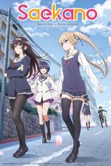 Saekano the Movie: Finale