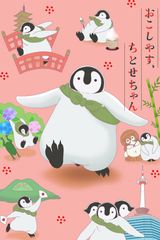 Welcome, Chitose