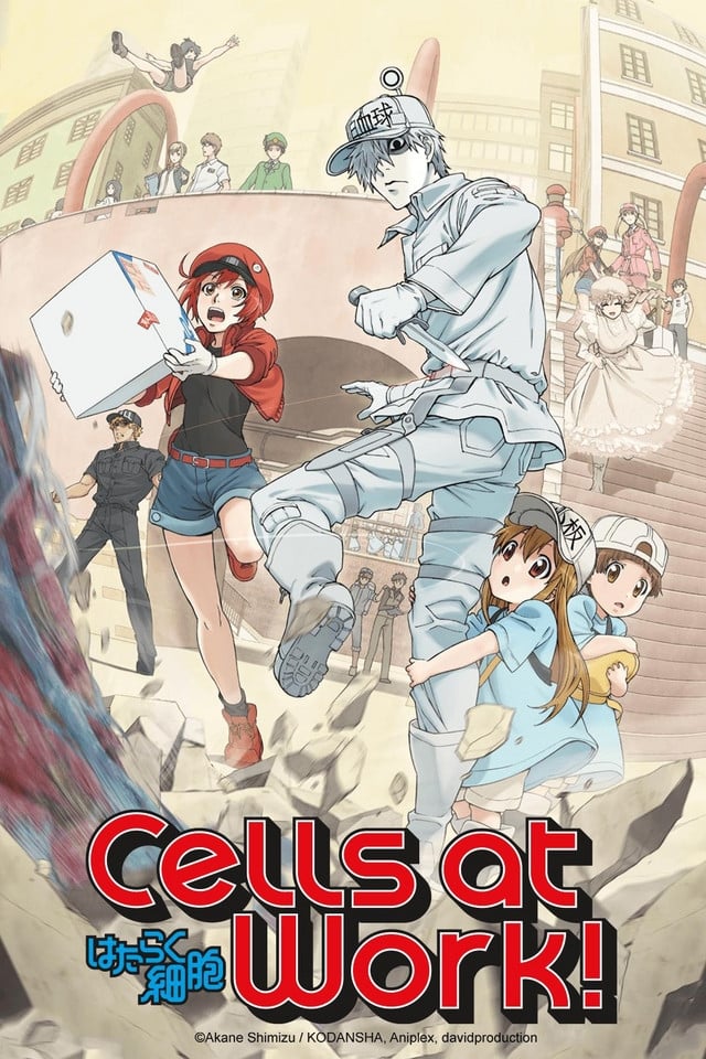 Cells at Work!!