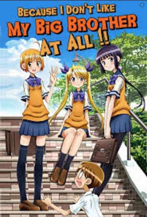 I Don't Like My Big Brother At All!