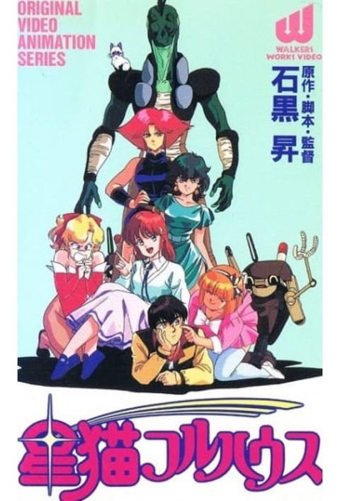 Star Cat Fullhouse