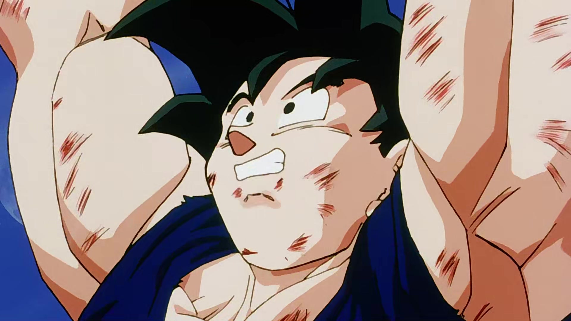 Dragon Ball Z