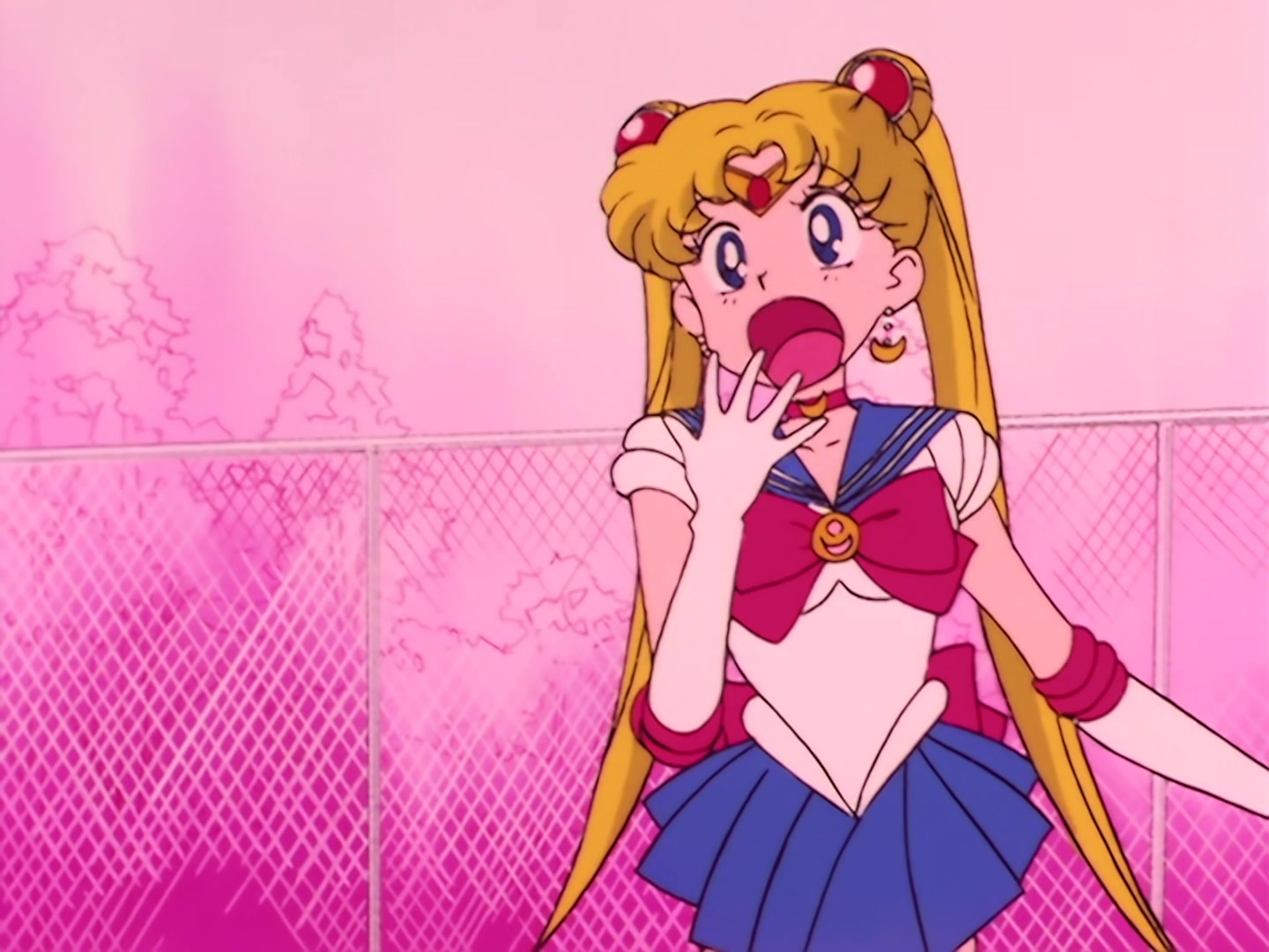 Sailor Moon