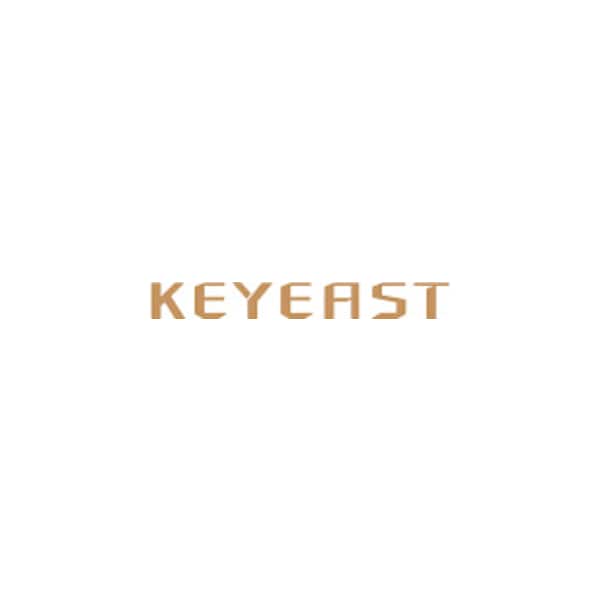 KeyEast logo