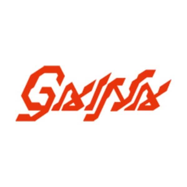 Gaina logo