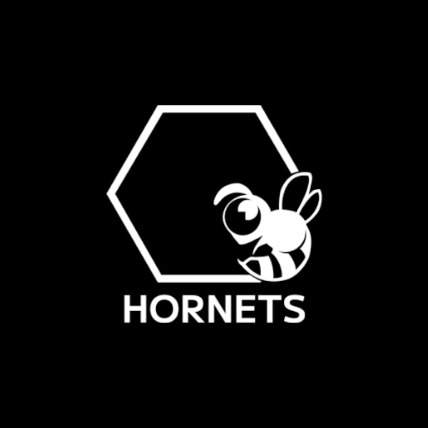 HORNETS logo