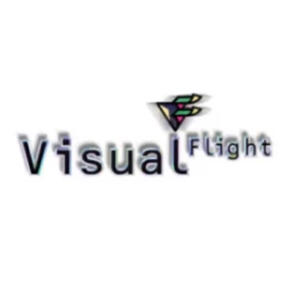 Visual Flight logo