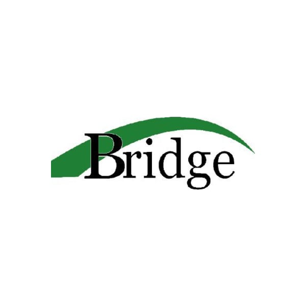 Bridge logo