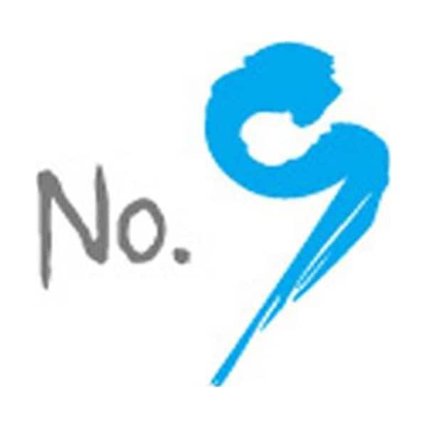Project No.9 logo