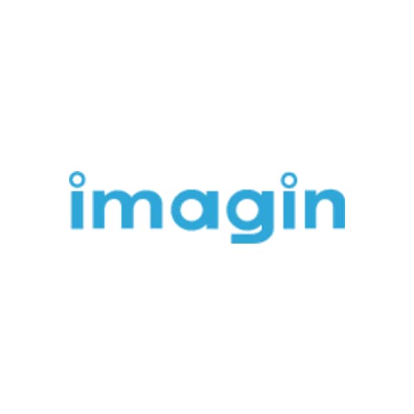 Imagin logo