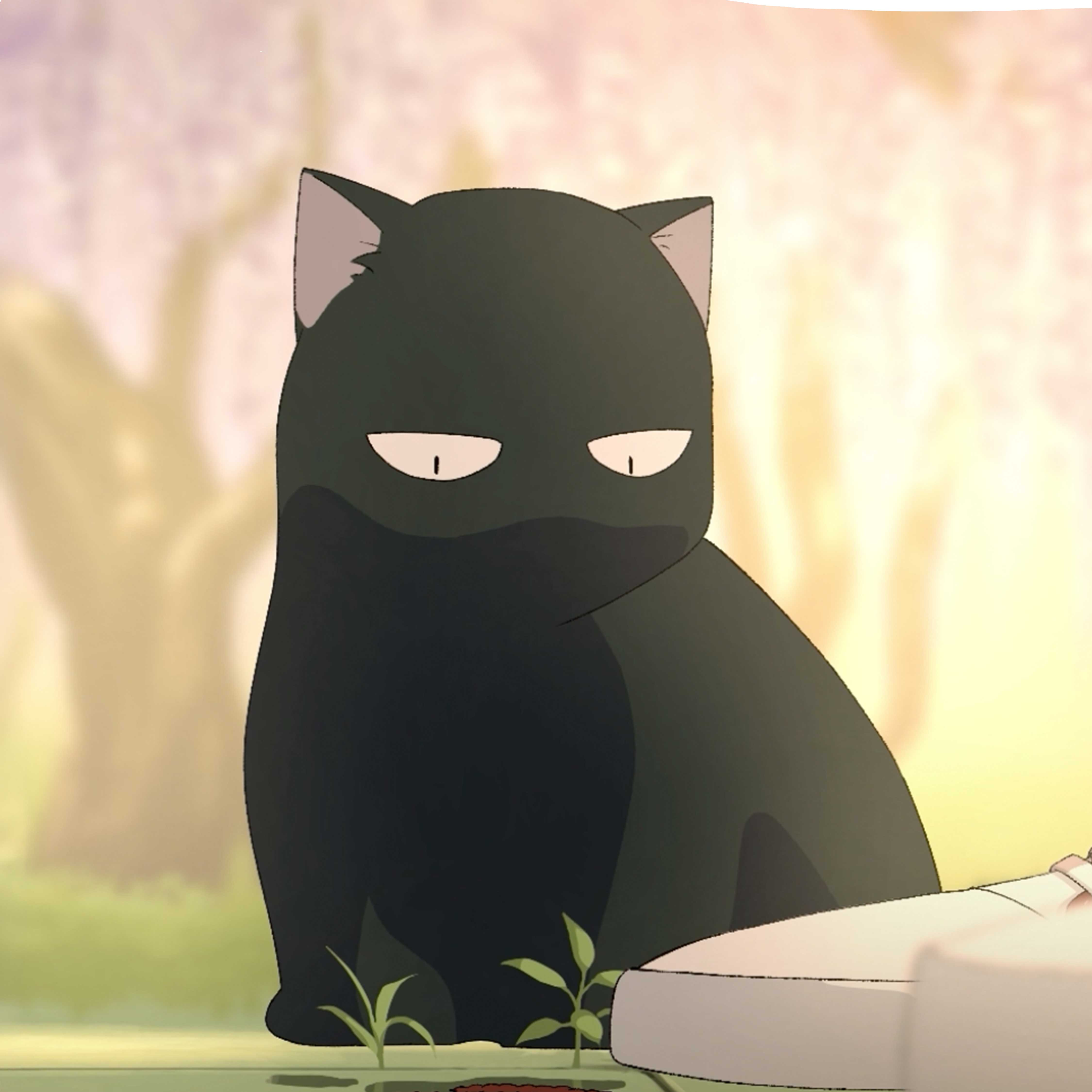 テト