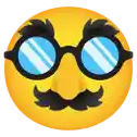 Disguise